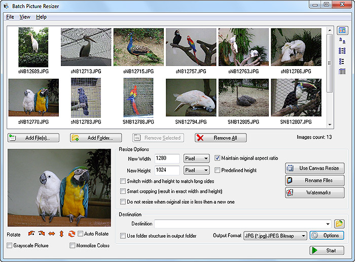 Resize pictures quickly and efficiently using a batch picture resizer.