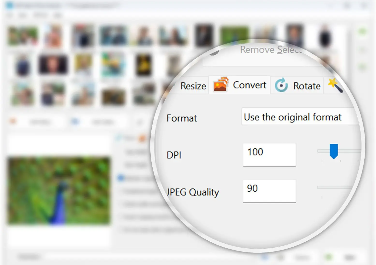 Choose conversion and resize options..