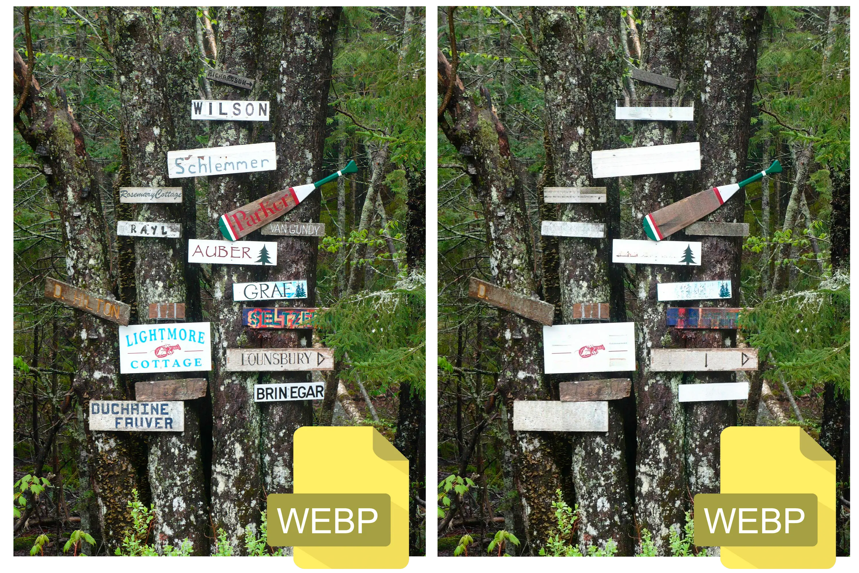 Multi-Format and Platform Support.